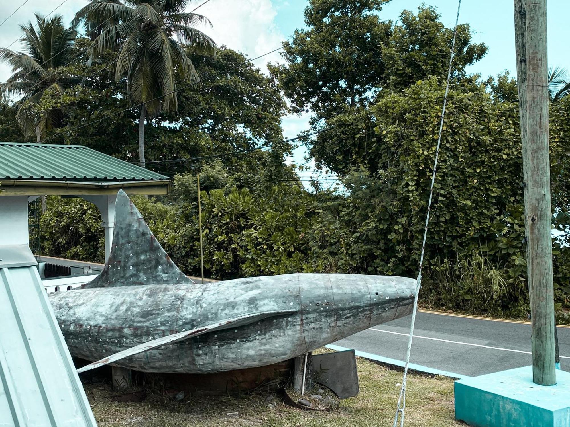 Divers Lodge Guest House Beau Vallon  Extérieur photo