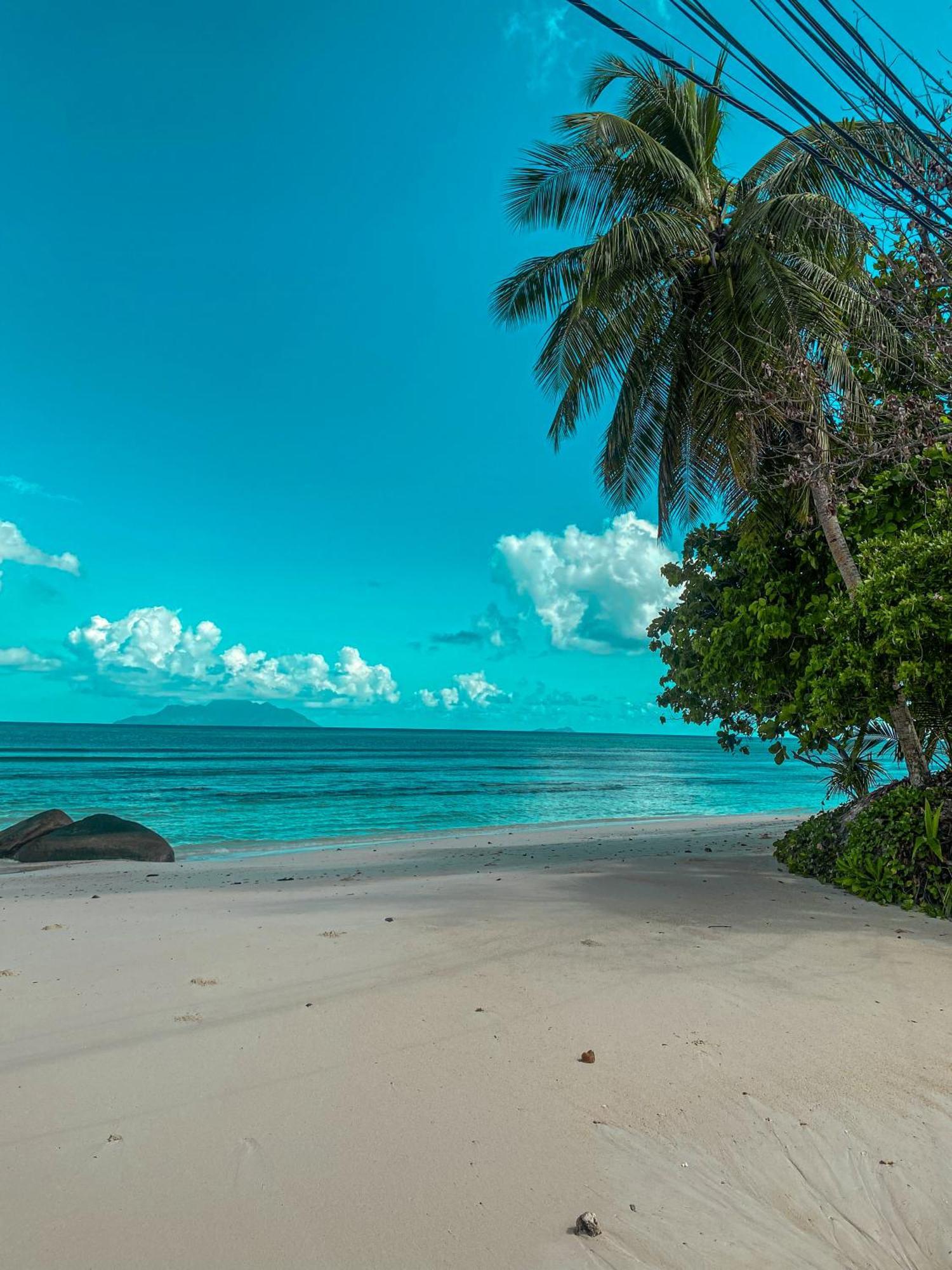 Divers Lodge Guest House Beau Vallon  Extérieur photo
