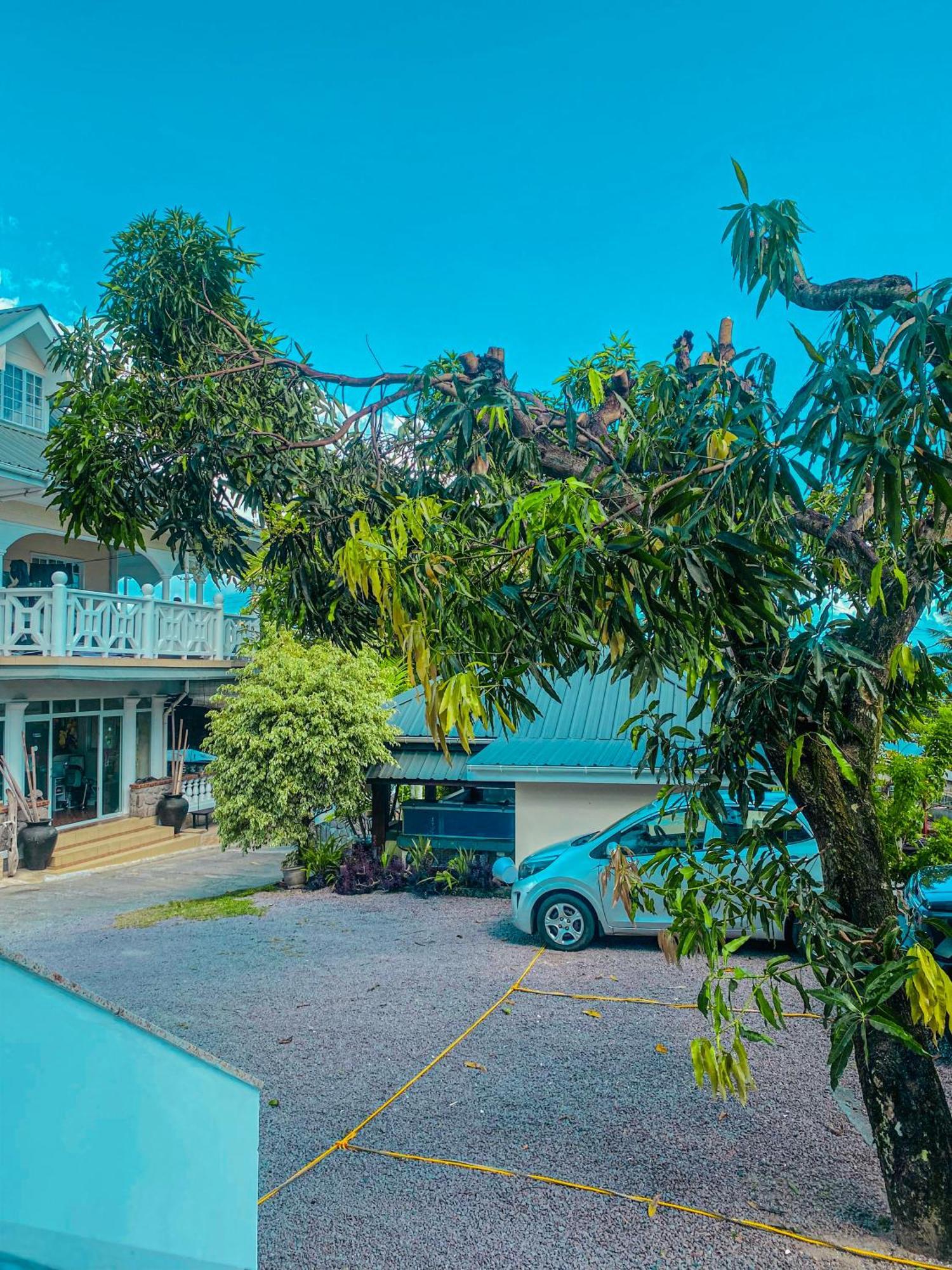 Divers Lodge Guest House Beau Vallon  Extérieur photo