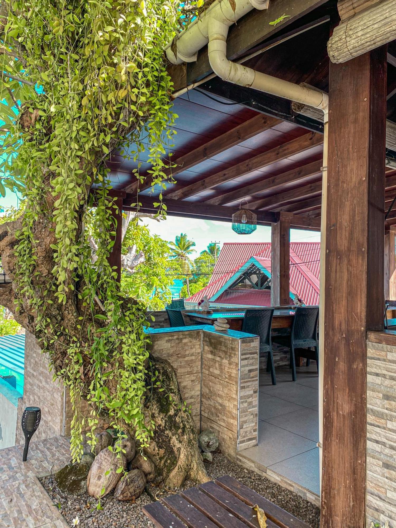 Divers Lodge Guest House Beau Vallon  Extérieur photo