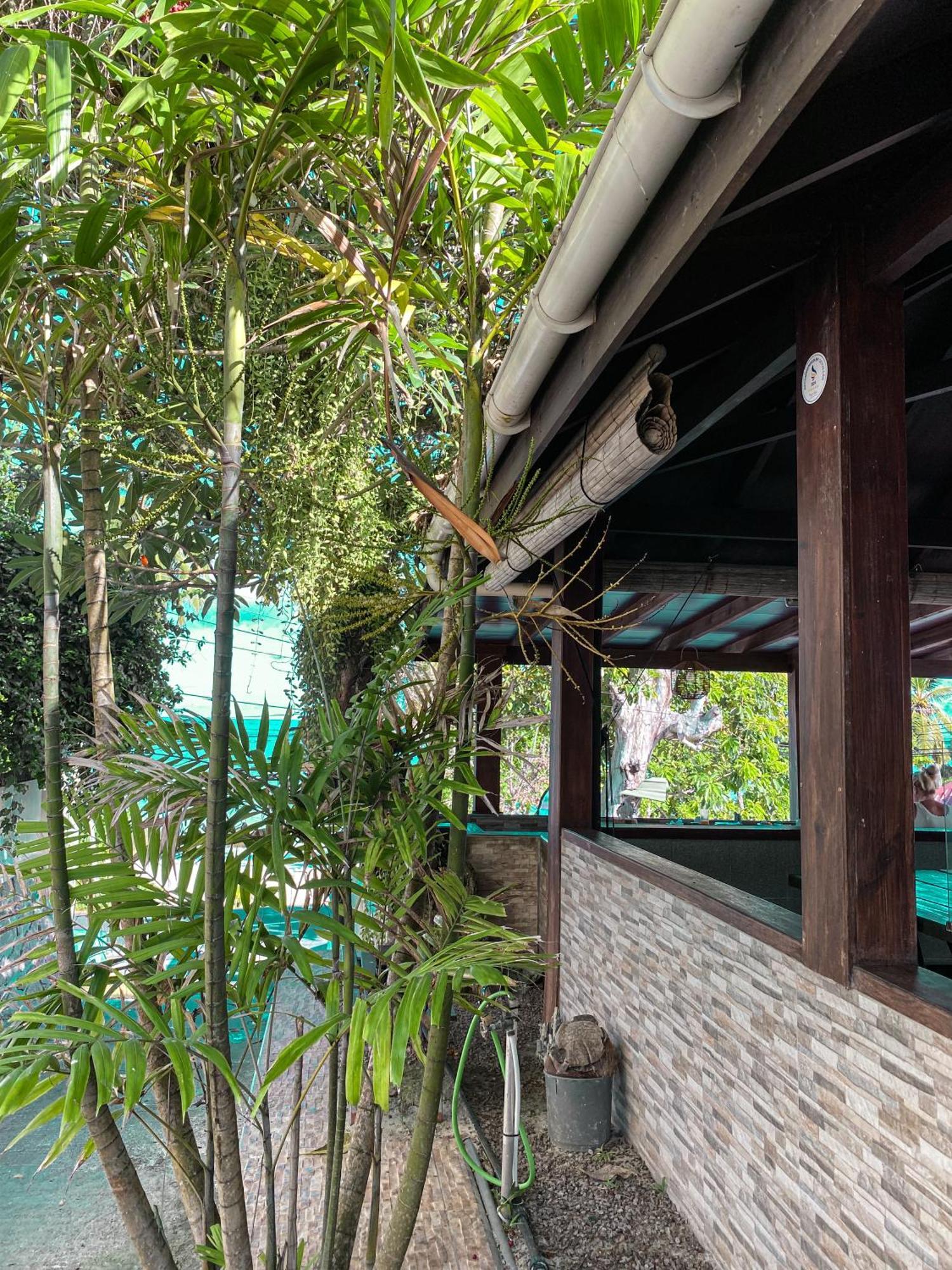 Divers Lodge Guest House Beau Vallon  Extérieur photo