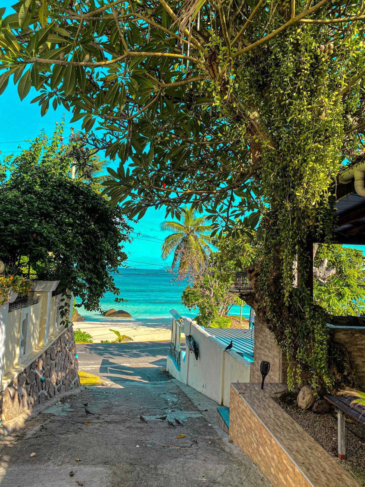 Divers Lodge Guest House Beau Vallon  Extérieur photo