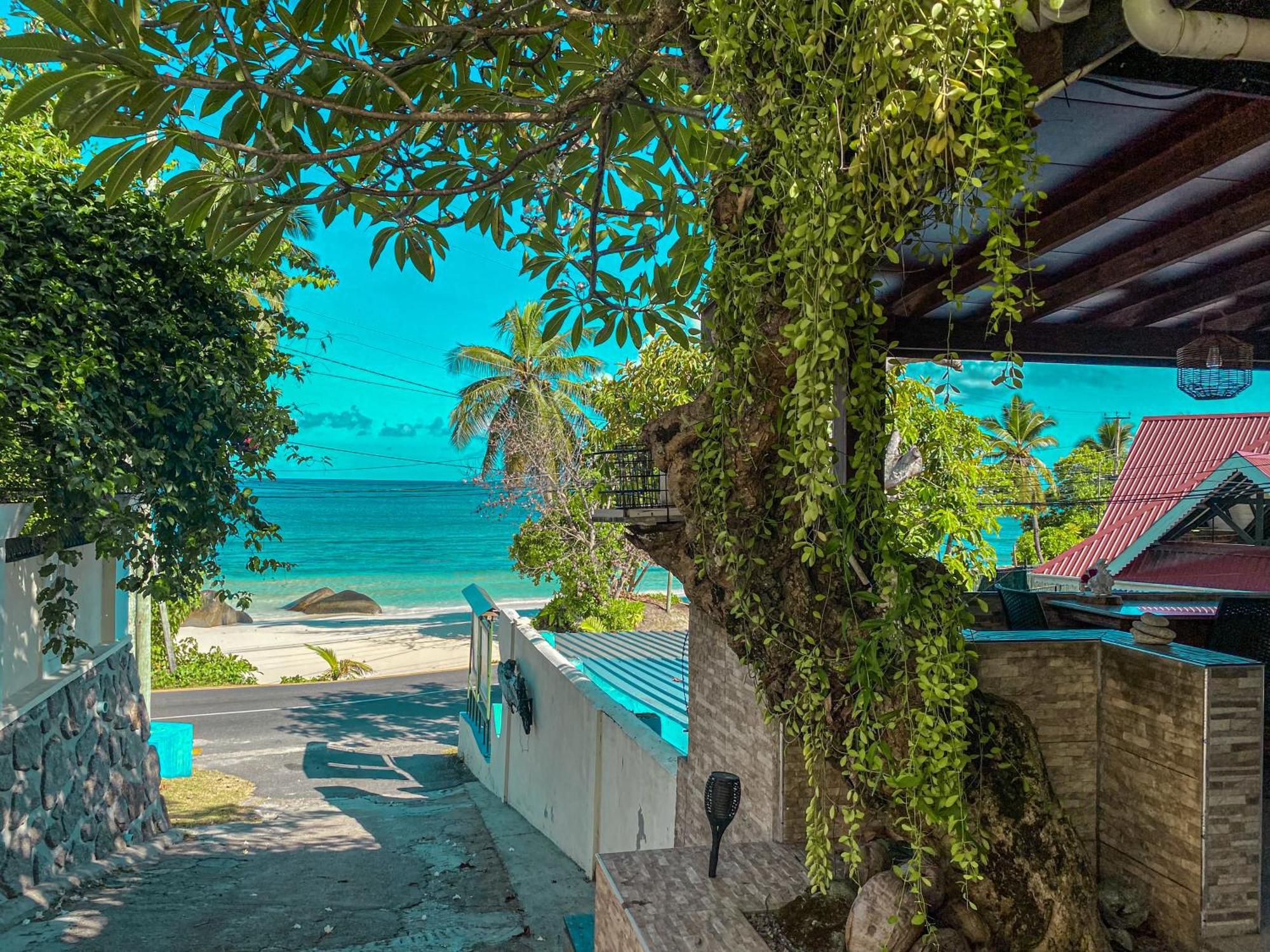 Divers Lodge Guest House Beau Vallon  Extérieur photo